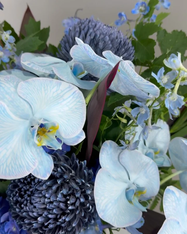 Stunning creations daily @alflorist_sydney #winteriscoming #blueflowers #blueorchids #mothersdaygifts