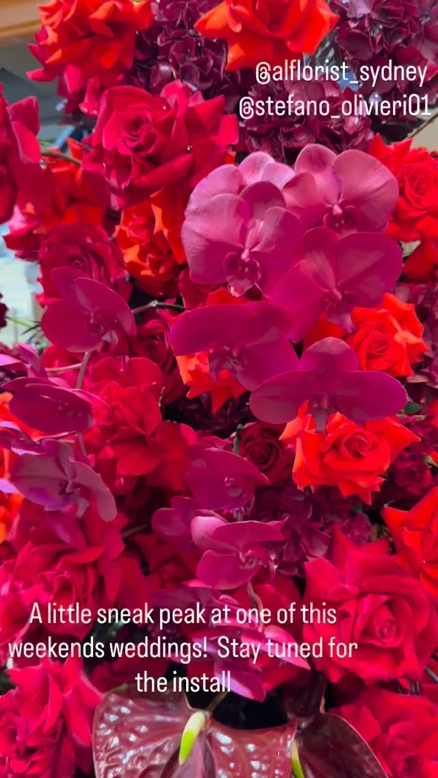 One of our most recent stunning fresh floral creations designed by @stefano_olivieri01 and his amazing team @alflorist_sydney 
#love #flowers #weddingflowers #freshflowers